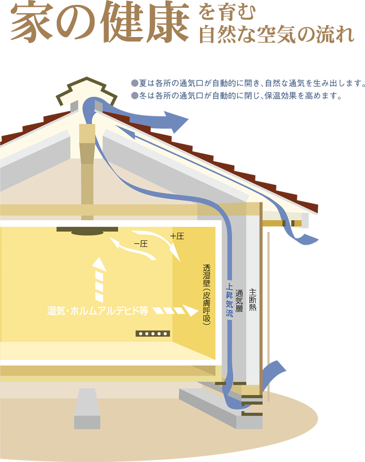 家の健康を育む自然な空気の流れ