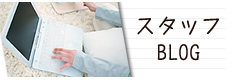 スタッフBLOG