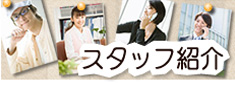スタッフ紹介